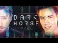 Dark Horse (Katy Perry) - Sam Tsui & Peter Hollens A Cappella Cover | Sam Tsui