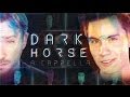 Dark Horse (Katy Perry) - Sam Tsui & Peter ...