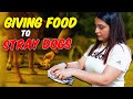 Giving Food To Stray Dogs🐶❤️DAY 4✅ 30 DAYS CHALLENGE🔥 - Kirti Mehra