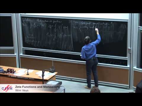 Wim Veys : Zeta functions and monodromy