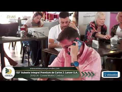 20-02-26 - 132º Subasta Integral Premiuim de Carlos J. Lanser - Coronel moldes, Córdoba