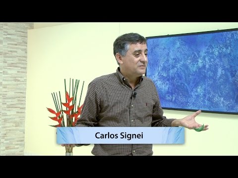 Palestra 274 - Das Causas e Efeitos - Carlos Signei