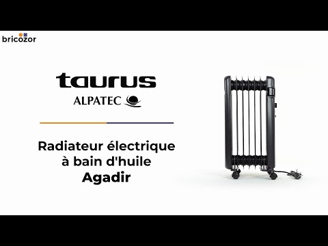 Radiateur électrique à bain d'huile mobile Agadir ALPATEC