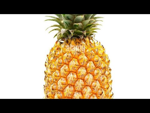 Brysco - Rhum (Leaked Audio)