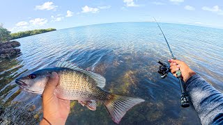 Florida Keys Shore Fishing | Finesse Braid First Use