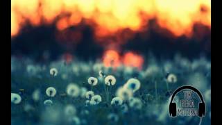 Sam Feldt &amp; Kav Verhouzer - Hot Skin