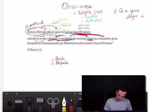 Studiu Ep.006 | Procesul observării