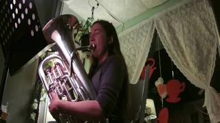 Tidal Moonlight - Curiositea House - Application Demo