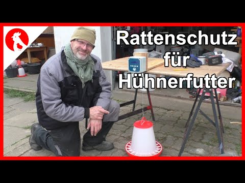 106 Mäuse + Rattenschutz für Hühnerfutter -  Jensman and the Huhns