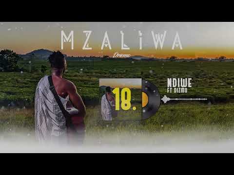 DRIEMO ft DIZMO - NDIWE (Official audio visualizer)#mzaliwa #malawi #zambia #afrobeat