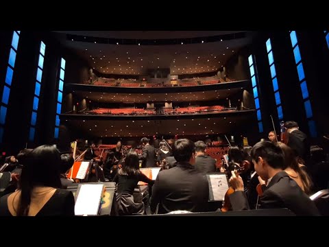 【TMEA 2020 • PART TWO】part II: the performance & celebration // cinematic trip vlog