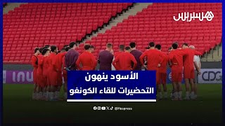 الأسود ينهون استعداداتهم.. آخر حصة تدريبية قبل مواجهة أمام الكونغو thumbnail