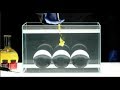 Colorful Ink Drop In Water Blue Man Group Snorkelbone Official Music Video