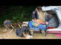 BRAZILIAN GIRL PREPARING A DELICIOUS BARBECUE ASMR CAMPING