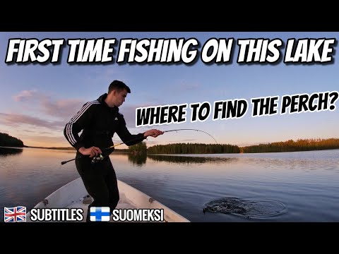 Searching For Perch At A New Lake