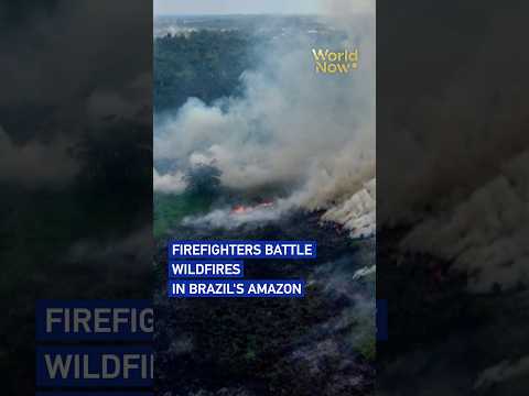 Firefighters battle wildfires in Brazil's Amazon #worldnow