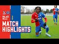 WILLIAMS LATE WINNER! | Palace 3-2 Villa | U18 Highlights