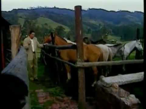 Cuando Yo Muera No Me Lloren - Nelson Gómez