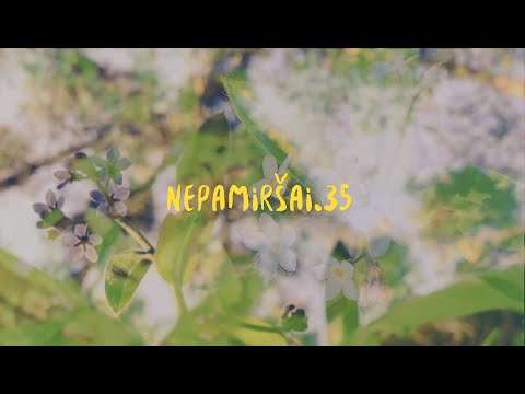 Iš nieko - Nepamiršai.35