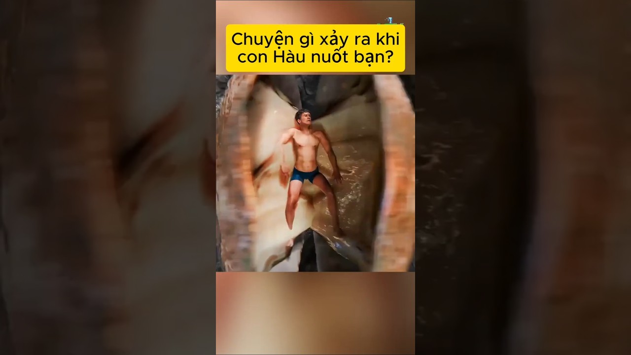 Chuyện gì xảy ra khi con hàu nuốt bạn?