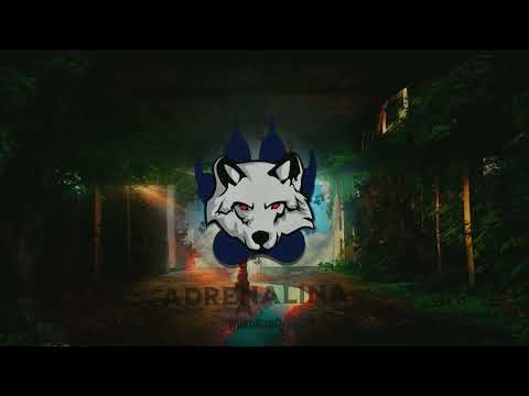WilkuRapQ - Adrenalina prod. Wiggzy