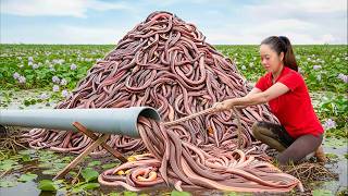Download lagu Harvesting Millions Prehistoric Eels & Go to Market Sell | How to make effective creative eel traps mp3