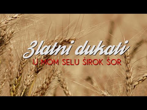 Zlatni dukati - U mom selu širok šor (Lyric video)