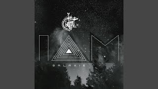 Tant De Raisons Où Je Vis (Remix)