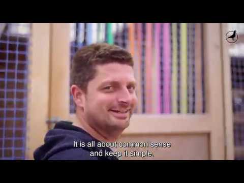 PIPA TV: Jelle Roziers (BE)