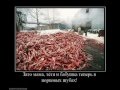 ЛЮДИ, ВЫ - СУКИ! 