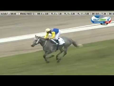 2016.12.04 International Jockeys' Weekend (MRI) - Day2