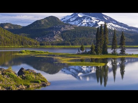 Invatand de la Elisei - Filip Neag