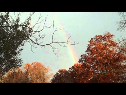 Singular Rainbow - So Intense