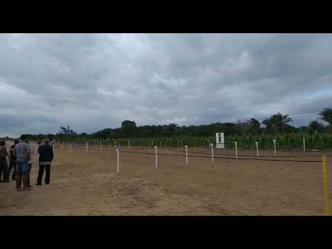 2° Páreo Classificatório do GP BIG SPEED Em VÁRZEA DA ROÇA 2019.