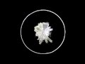 Tool - Fear Inoculum visual cymatic imprint for audiotrack. Instructions in description. Tool - Fear Inoculum visual cymatic imprint for audiotrack. Instructions in description.