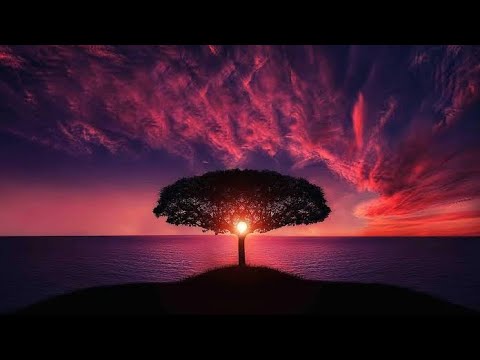 Nature Whatsapp status malayalam | Kanaka munthirikal