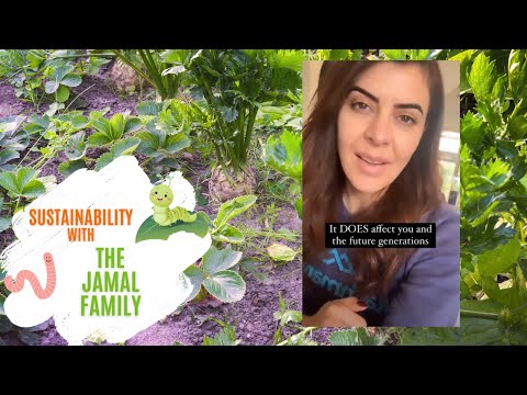 GSPV Sustainability - Jamal Family 2021