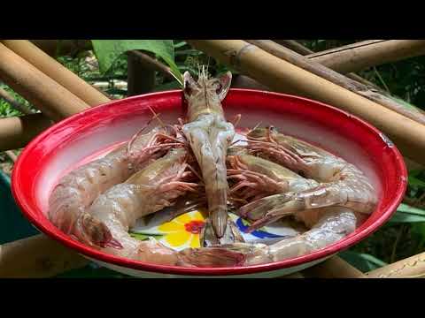 The Jungle Kitchen is back in business