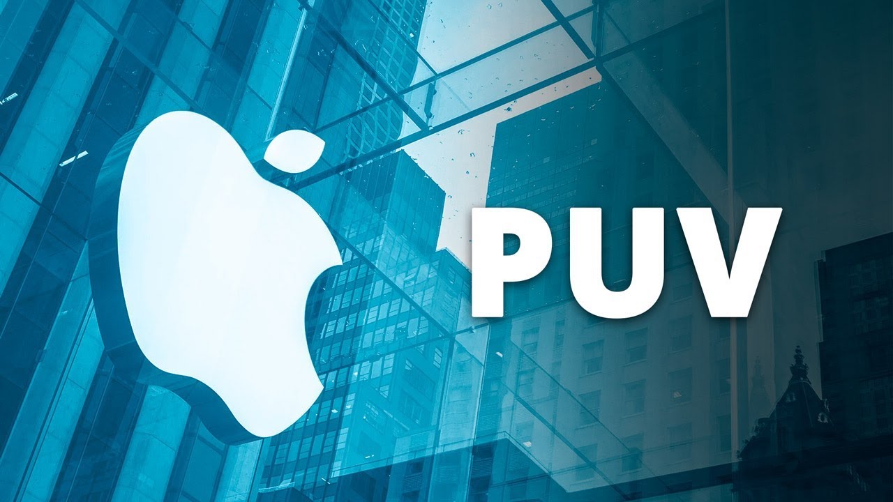 O QUE É P.U.V. (Proposta Única de Valor)?