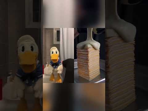 Donald Ducc is having mixed emotions #shorts