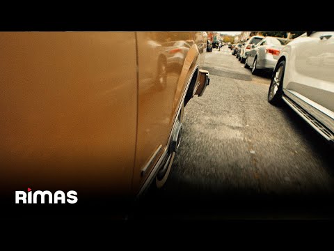 Video thumbnail for Flores en Anónimo