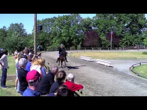 Kronshof-Special V2 - Frauke & Óskadís - www.isibless.de