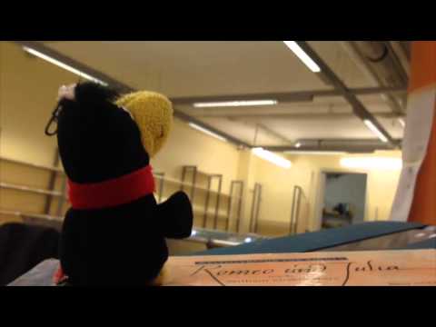 Kessi testet die neue Sortiermaschine