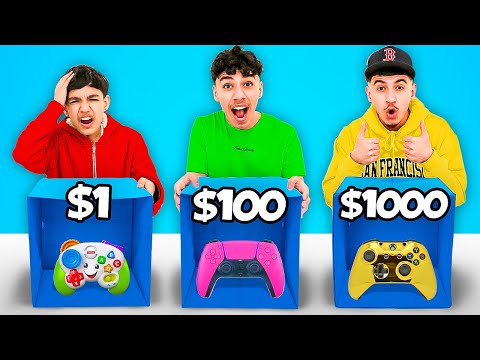 Brothers Randomly Choose Cheap VS Expensive Controllers To Play Fortnite!