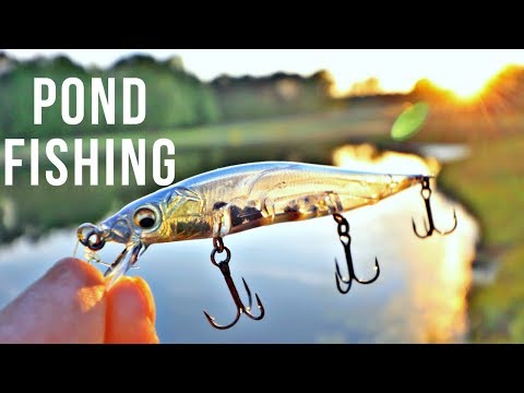 download lagu mp3 mp4 Private Fishing Lakes In Alabama, download lagu Private Fishing Lakes In Alabama gratis, unduh video klip Private Fishing Lakes In Alabama