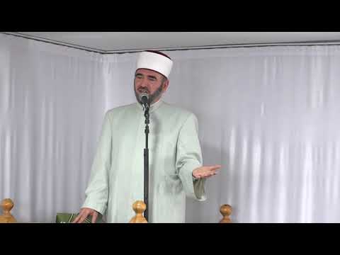 Pse jemi bërë kaq të urtë ?! - Dr.Zekerija Bajrami