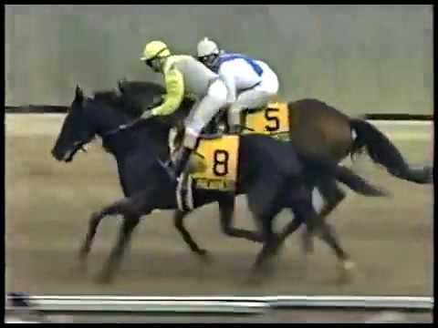 1989 Preakness Stakes Gr1   Sunday Silence