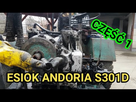 Esiok Andoria S301D Przywracanie do życia Część 1