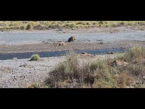 Paseando por Salta, Cachi, Payogasta, Ruta Nacional 68 los Colorados, Argentina. 