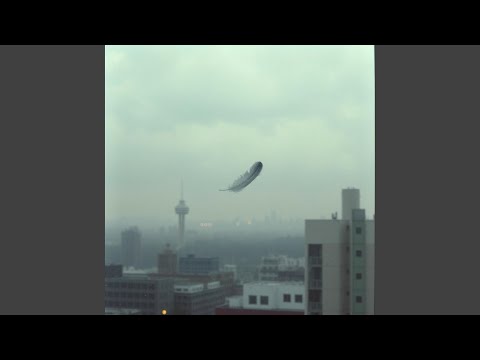 Nieuwsflits 23-11-2025